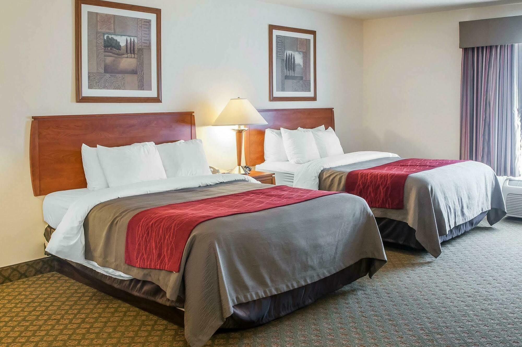 Comfort Inn & Suites Сокоро Екстериор снимка